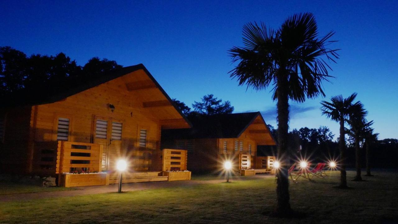 Paradise Pod Palmami Holiday home Zator